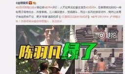 马大哥爆料自己视频大全,视频大全背后的精彩故事