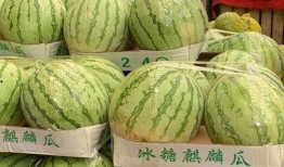 吃瓜直播间免费吃瓜是真是假,吃瓜直播间免费吃瓜，真相大揭秘！