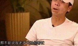 星爷爆料跳槽视频播放在线观看,独家视频首播，揭秘娱乐圈风云变幻